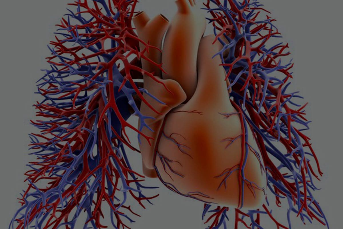 Accesos Venosos, Arteriales y Punción Transeptal En Electrofisiología – Dr. Rogelio Robledo Nolasco